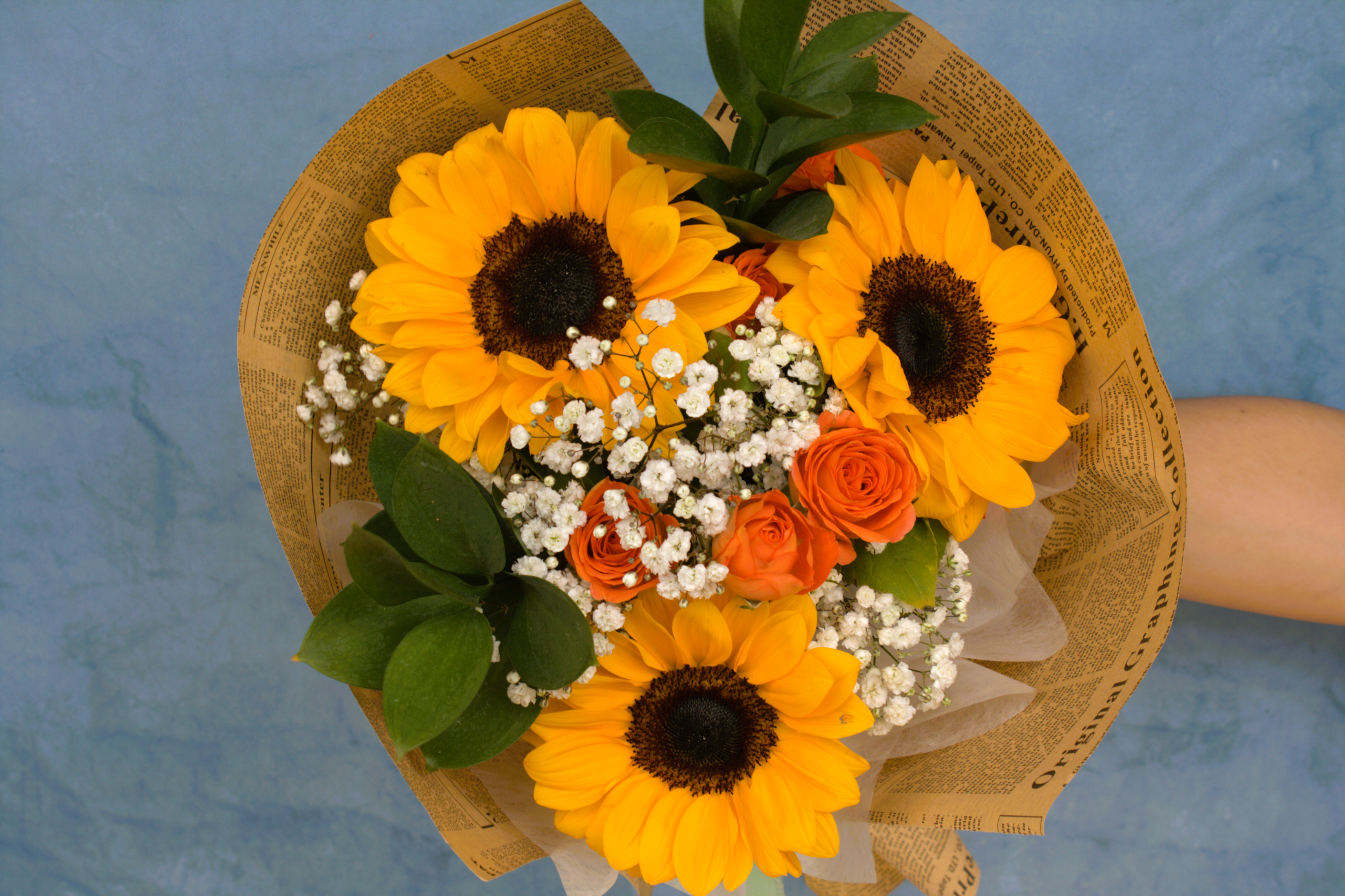 Girasol Clásico S alt